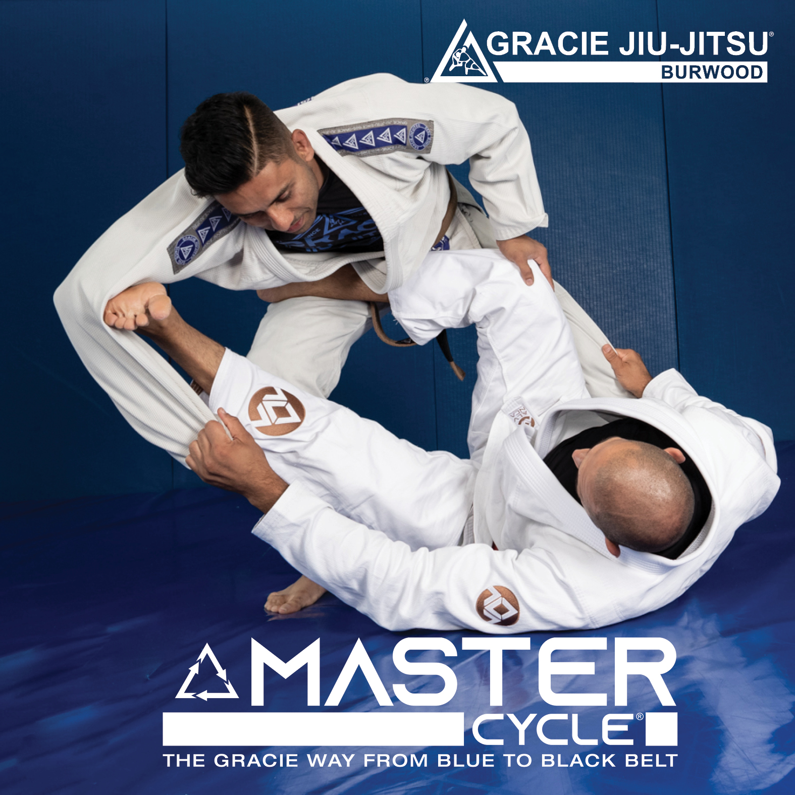 MASTER CYCLE